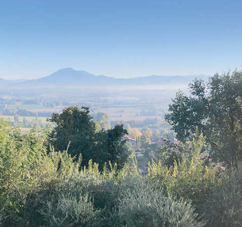 Colline Moreniche del Garda  